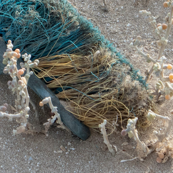 Photo of a discarded green brush on the beach of Dungeness